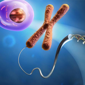 Biology Grade 12 cbse