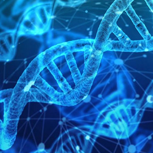 Science Grade 9 CBSE